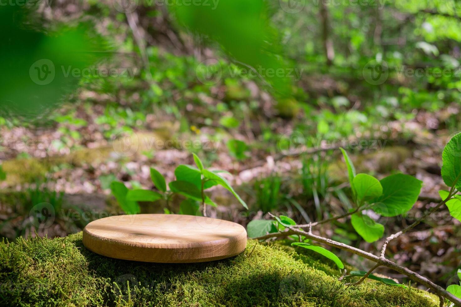 Wooden podium on mossy ground in a tranquil forest setting and natural beauty photo