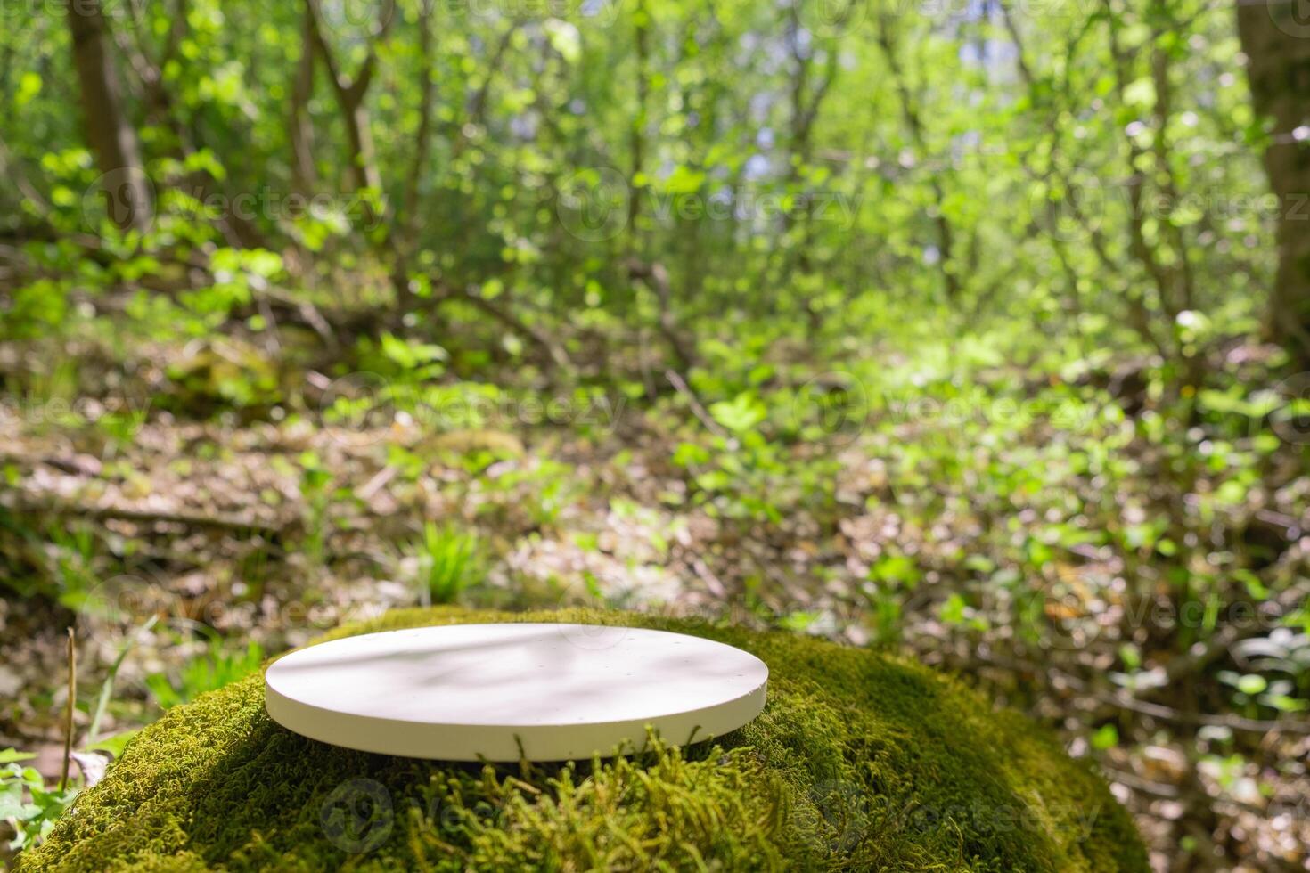 Podium on mossy ground in a lush forest, perfect for displaying products in a natural setting during daylight photo