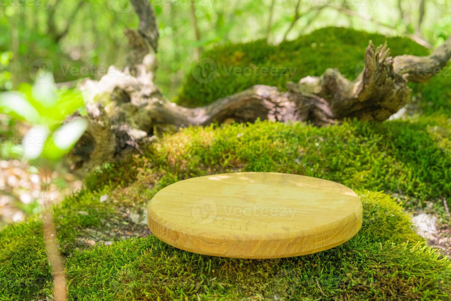 Natural wooden podium set on a moss-covered surface in a lush forest environment during daylight hours photo