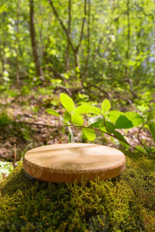 Wooden podium or pedestal on mossy ground in a tranquil forest setting and natural beauty photo