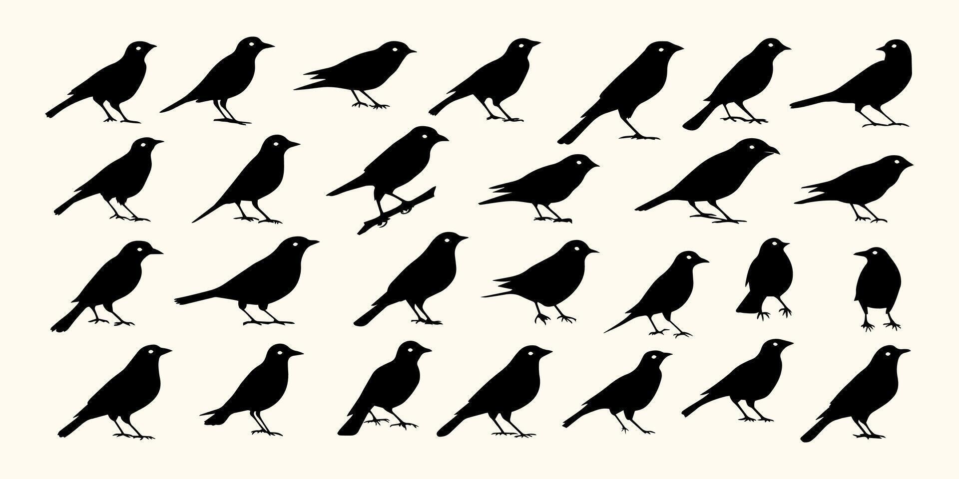 Bird Silhouette Collection - 30 Unique Designs for Avian - Themed Graphics and Prints vector