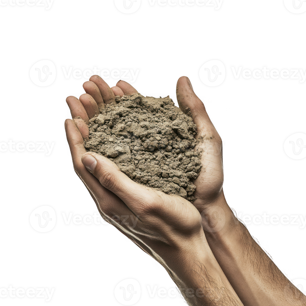 Hands holding soil sample on transparent background png