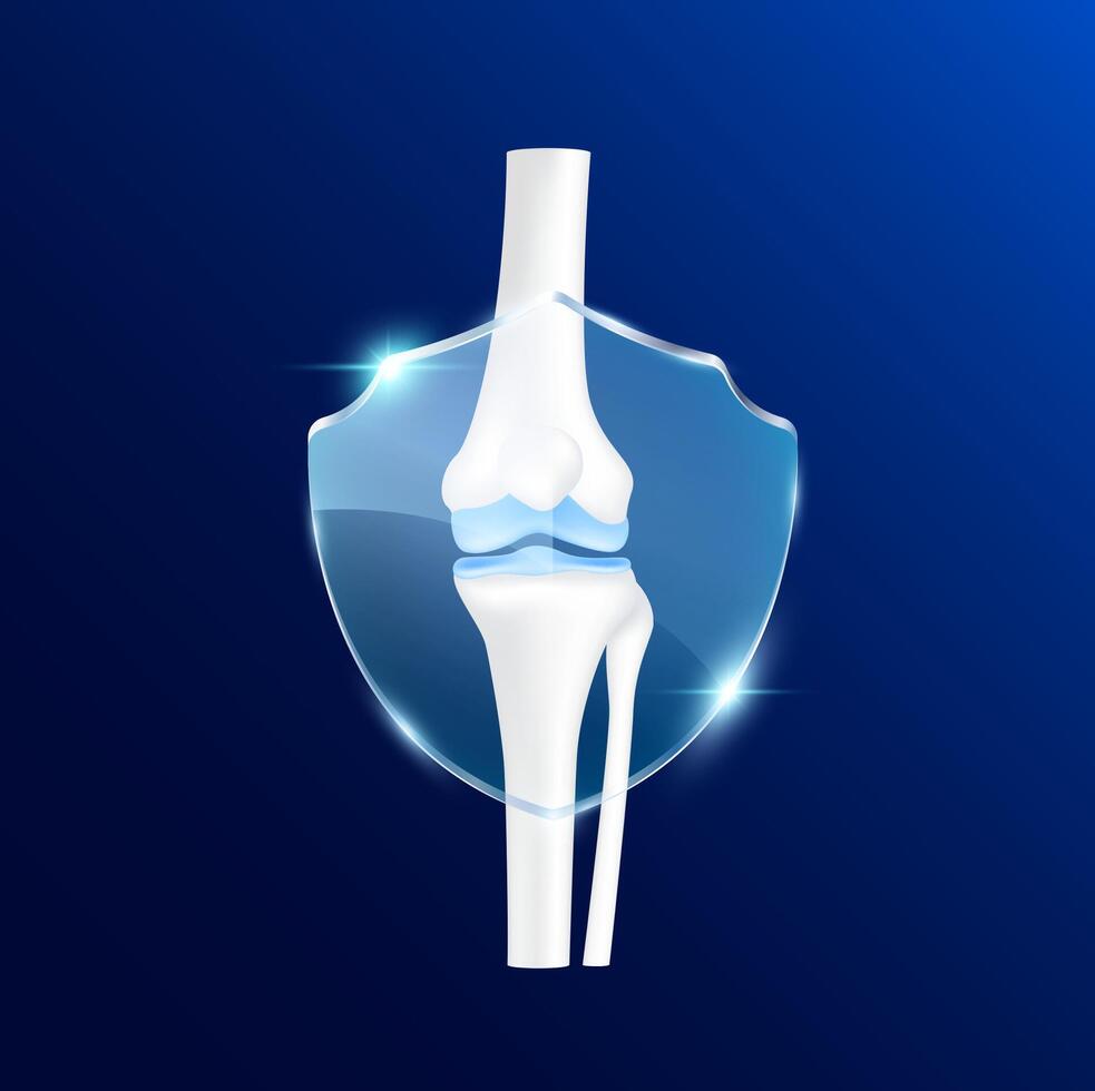 Leg knee joint with transparent glass shield in front. Vitamin D and minerals calcium magnesium protect bone cartilage. vector
