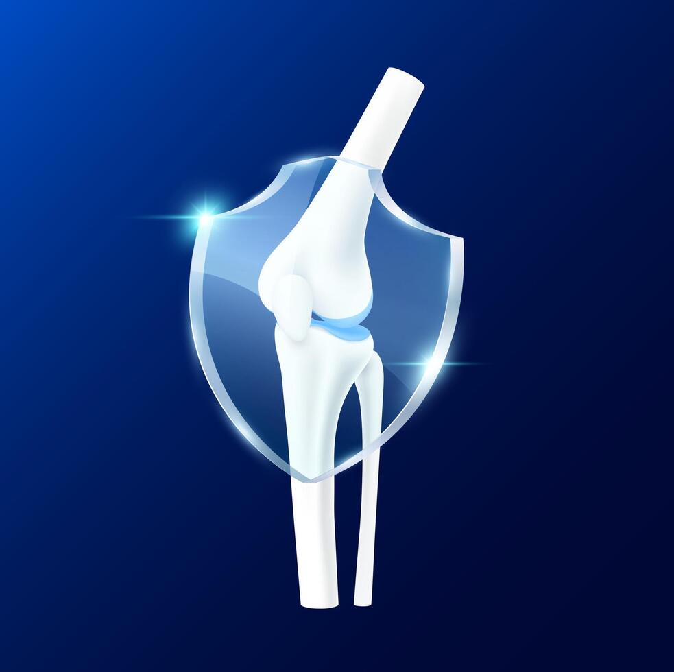Leg knee joint with transparent glass shield in front on blue background. Vitamin D and minerals calcium protect bone cartilage. vector
