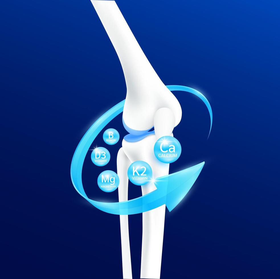 Bone knee joint cartilage surrounded by arrows Minerals Calcium Magnesium and Vitamin K2 D3. Healthy human skeleton anatomy isolated on blue background. Realistic 3D. vector