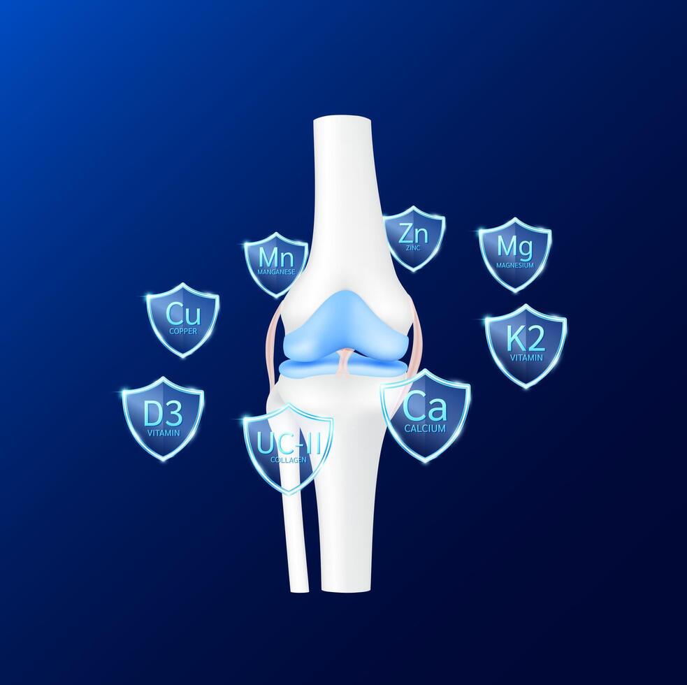 Leg knee joint front surrounded by transparent glass shield vitamin K2 and minerals calcium magnesium zinc on blu background. Protect osteoarthritis and arthritis bone cartilage. vector