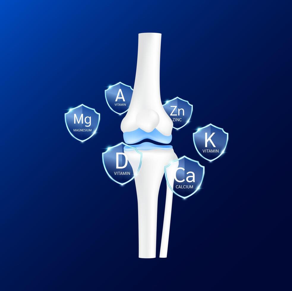 Leg knee joint front surrounded by transparent glass shield vitamin D and minerals calcium magnesium zinc on blu background. Protect osteoarthritis and arthritis bone cartilage. vector
