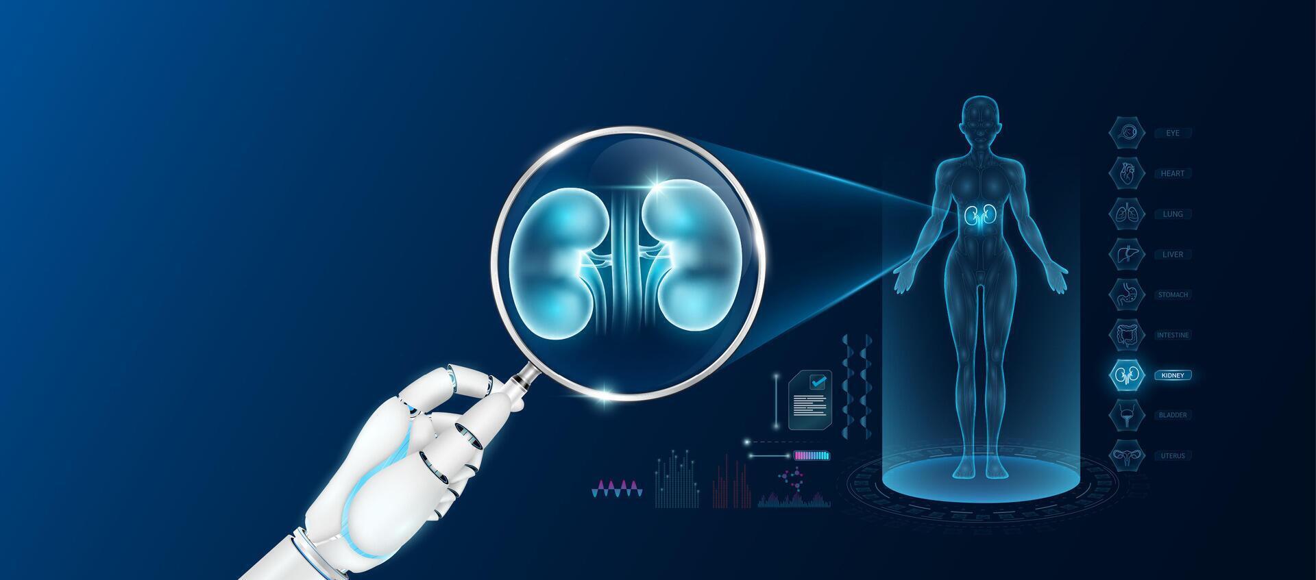 Doctor robot hand holding magnifying glass looking kidney analysis and anatomy hologram of the female body. Diagnosis with AI artificial intelligence technology. Innovative medical healthcare. vector