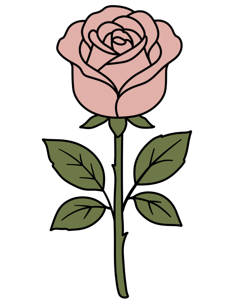 Illustration of Pink Rose png