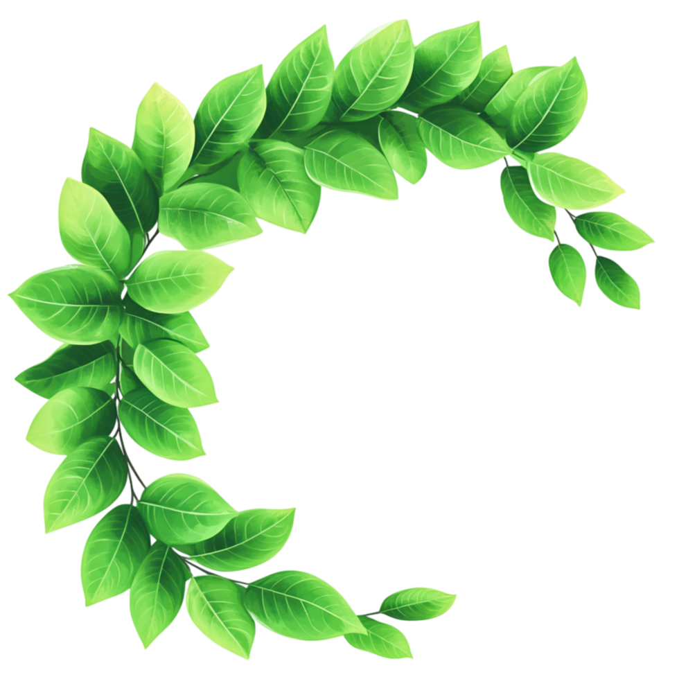 Vibrant Green Leaves Curved Arrangement Transparent Background for Nature Themes png