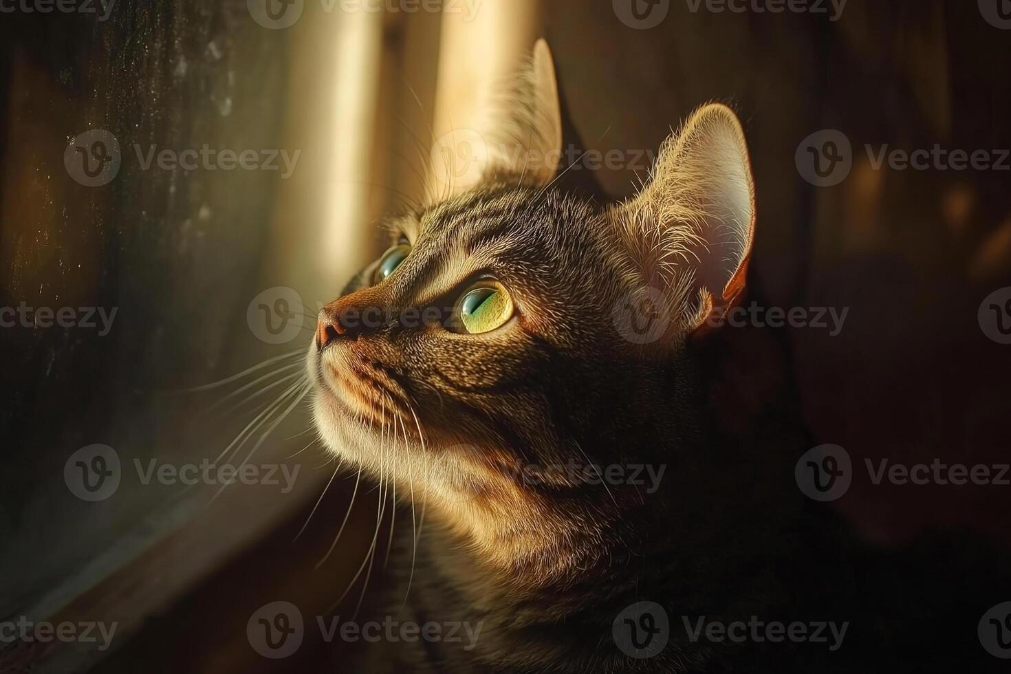 close-up portrait of a curious tabby cat with green eyes near window, surrounded by blurred background with bokeh, warm indoor light photo