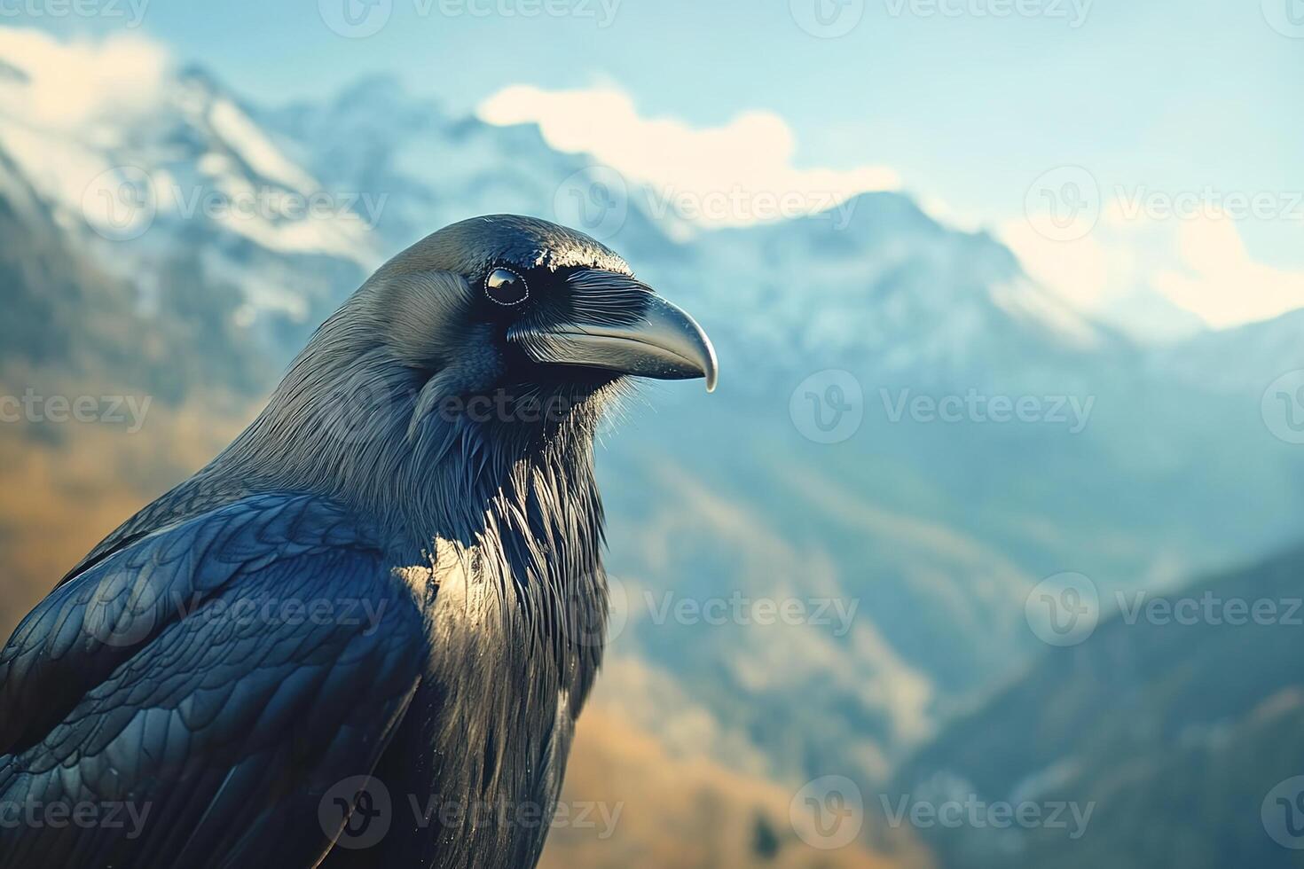 close-up portrait of majestic black crow, sharp beak and intense eyes, surrounded by blurred mountain landscapes photo