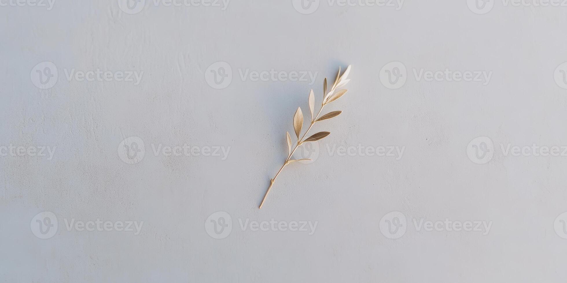 Minimalistic olive branch on light background for peace and nature concept photo