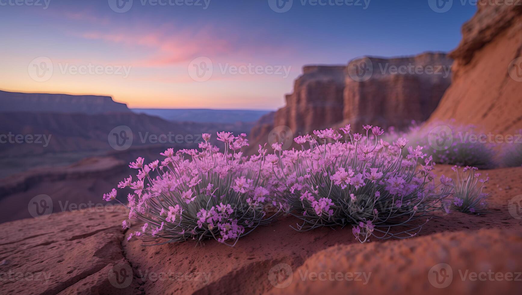 Pink Flowers Blooming on Desert Cliff Edge at Twilight Hour photo