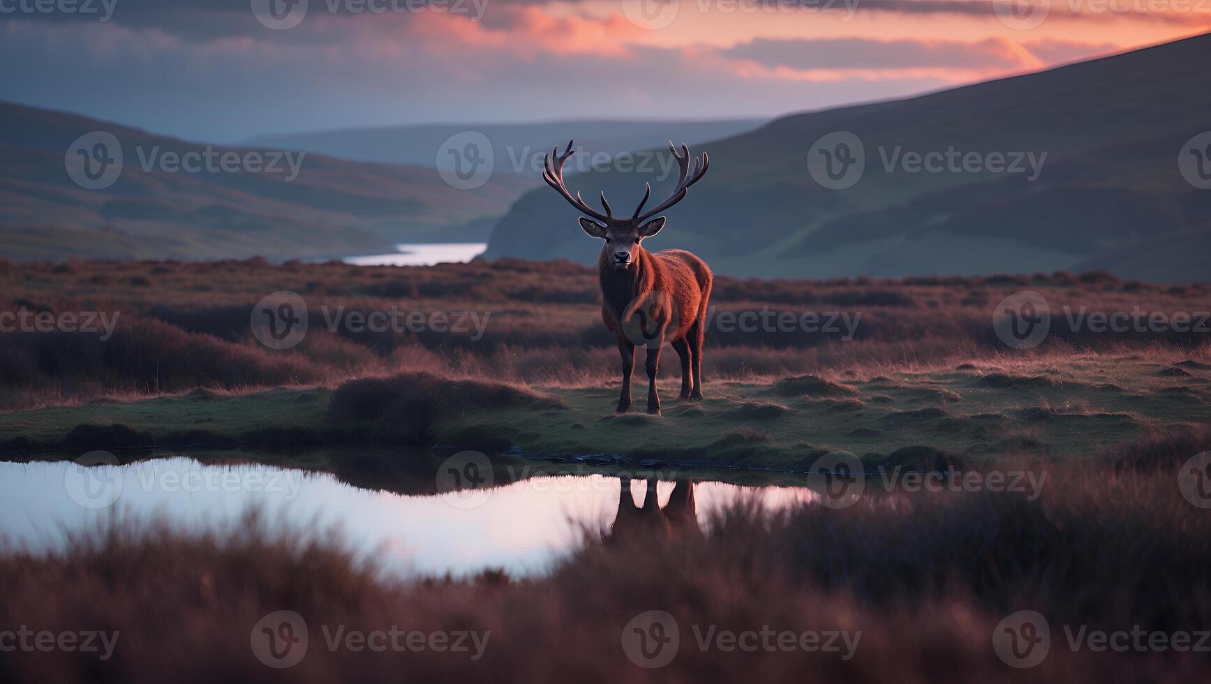 Deer Stands by Pond Reflecting Sunset in Mountain Landscape photo