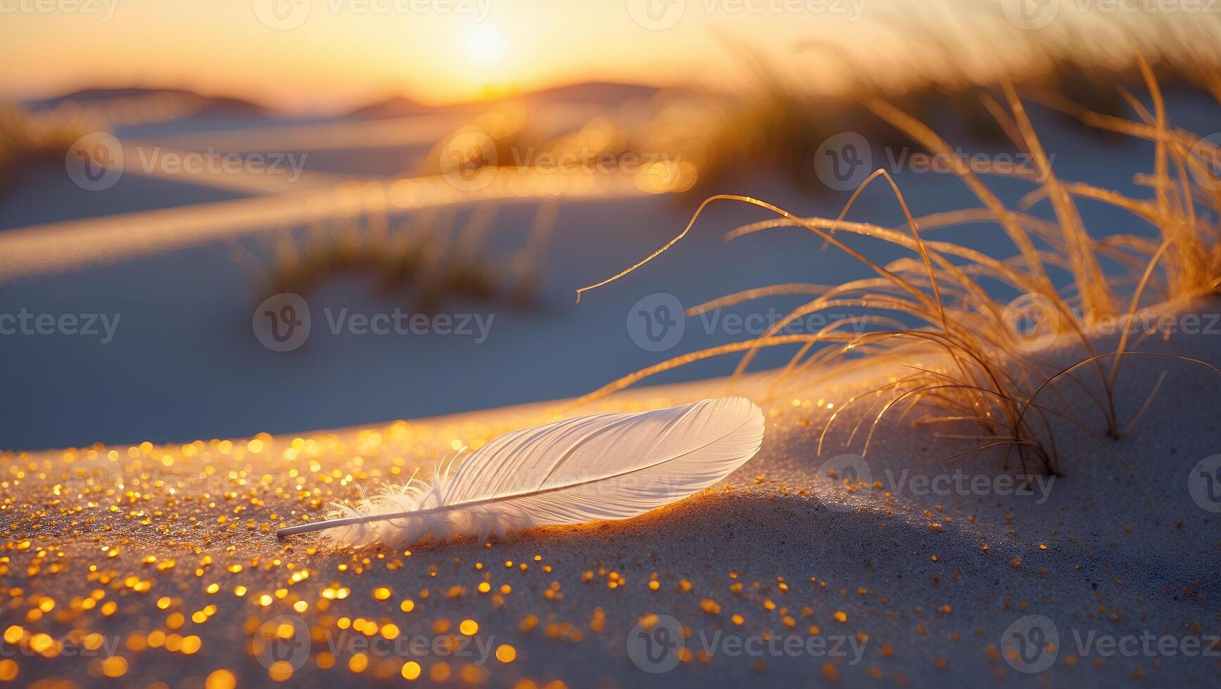 Feather Resting on Sandy Dune at Sunset with Golden Light photo