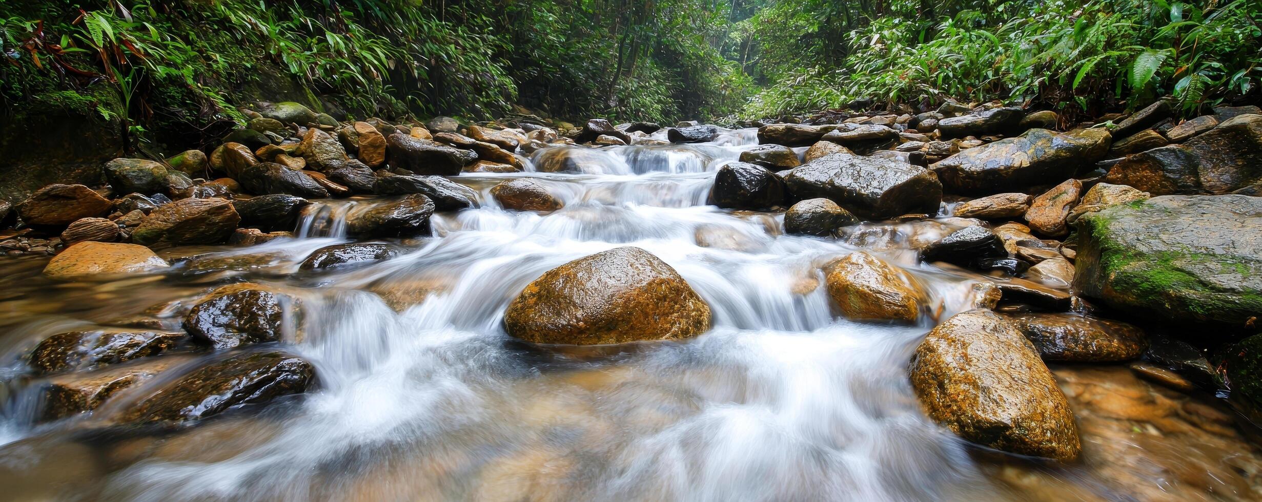 Serene, pure crystal water from gentle rain. Flowing stream surrounded by lush greenery and smooth rocks. photo