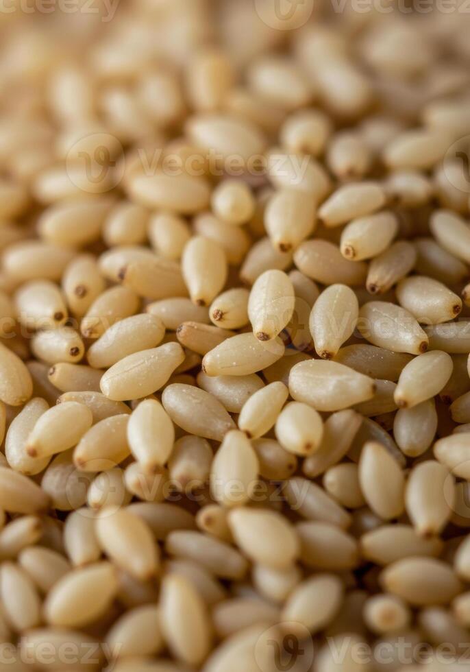 A beautiful macro photograph of a pile of fresh, organic sesame seeds, close up. photo