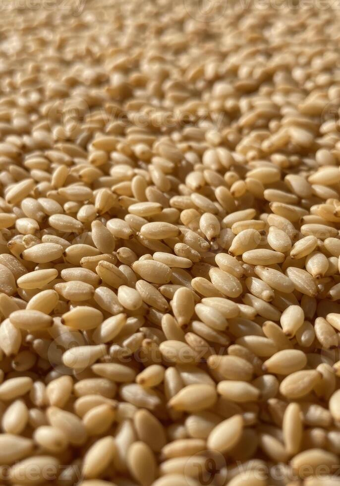 Detailed close-up of sesame seeds, showcasing their texture and natural beauty. photo