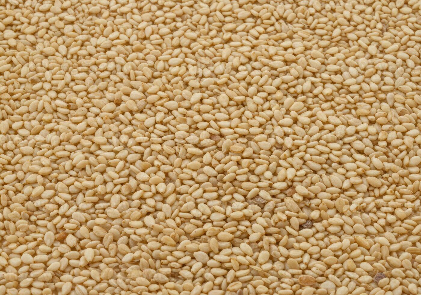 An overhead shot showcasing a large scattering of dried sesame seeds. photo