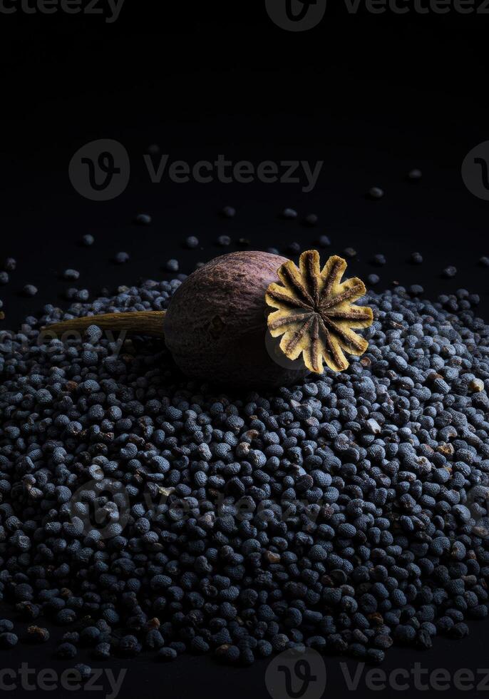 A detailed shot of poppy seed pod resting on a bed of tiny, scattered seeds. photo