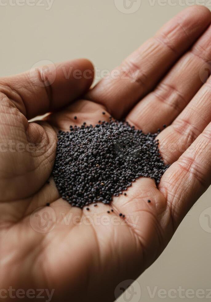 Detailed view of a hand cupping a cluster of tiny poppy seeds for use. photo
