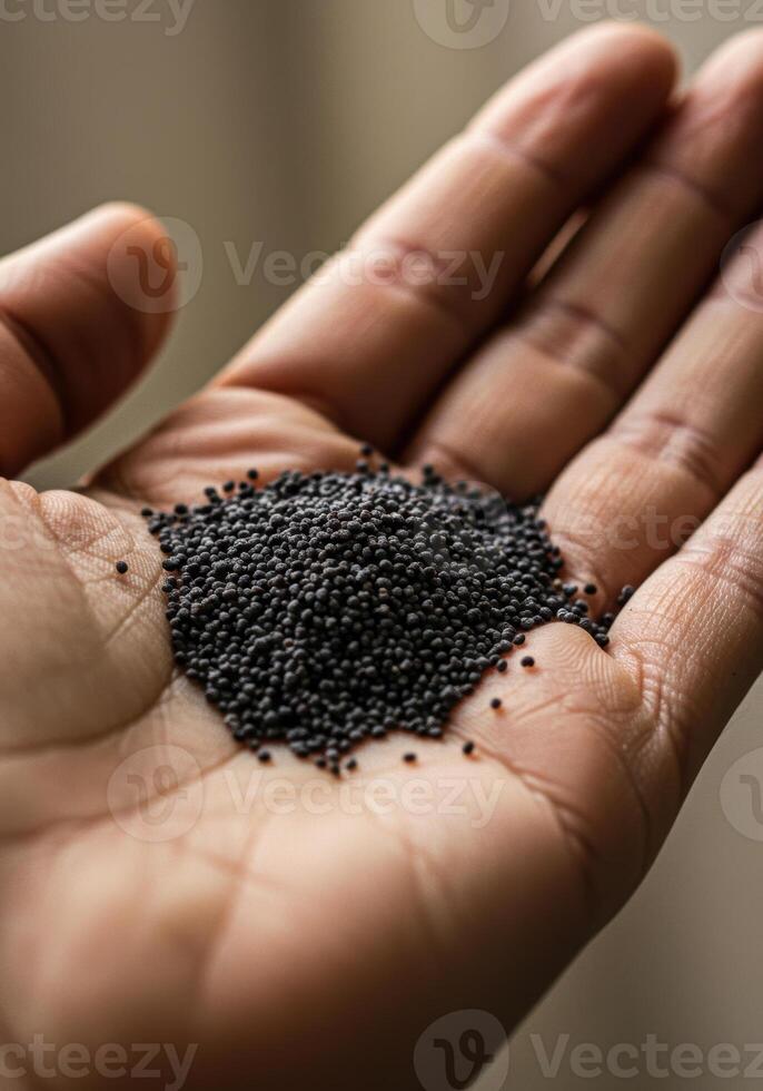 Handful of dark poppy seeds resting on a palm, captured in fine detail. photo