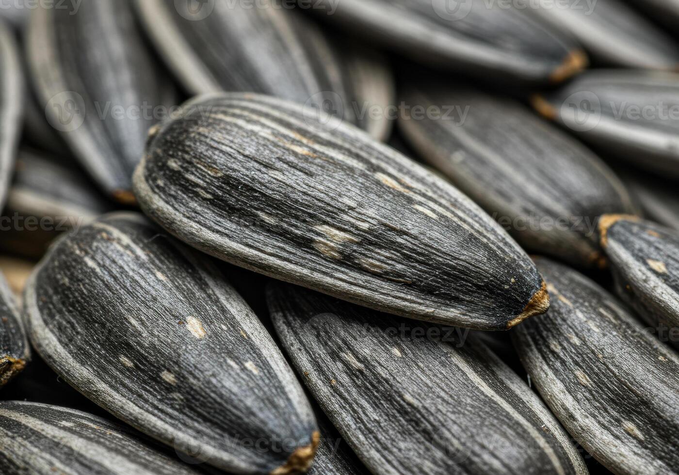 Detailed view of sunflower seeds showcasing their textured surfaces and patterns. photo