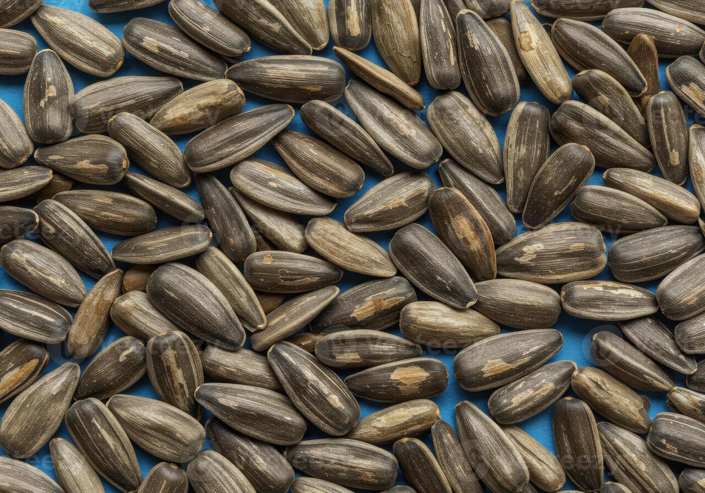 A detailed view of a pile of sunflower seeds with their distinctive striped pattern. photo
