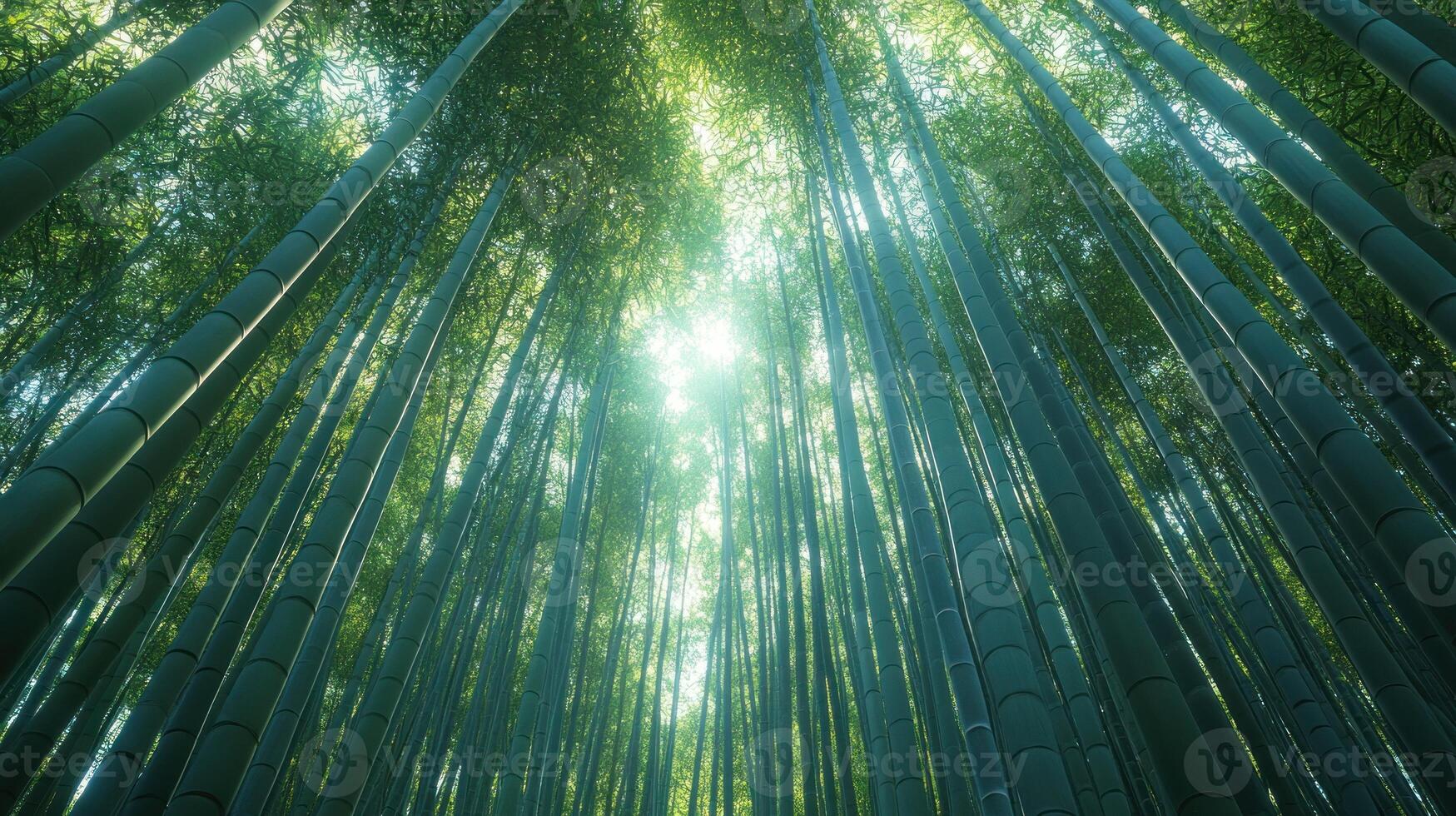 Serene bamboo forest canopy with sunlight streaming through tall green stalks creating a peaceful atmosphere and natural beauty, showcasing nature's elegance and tranquility. photo