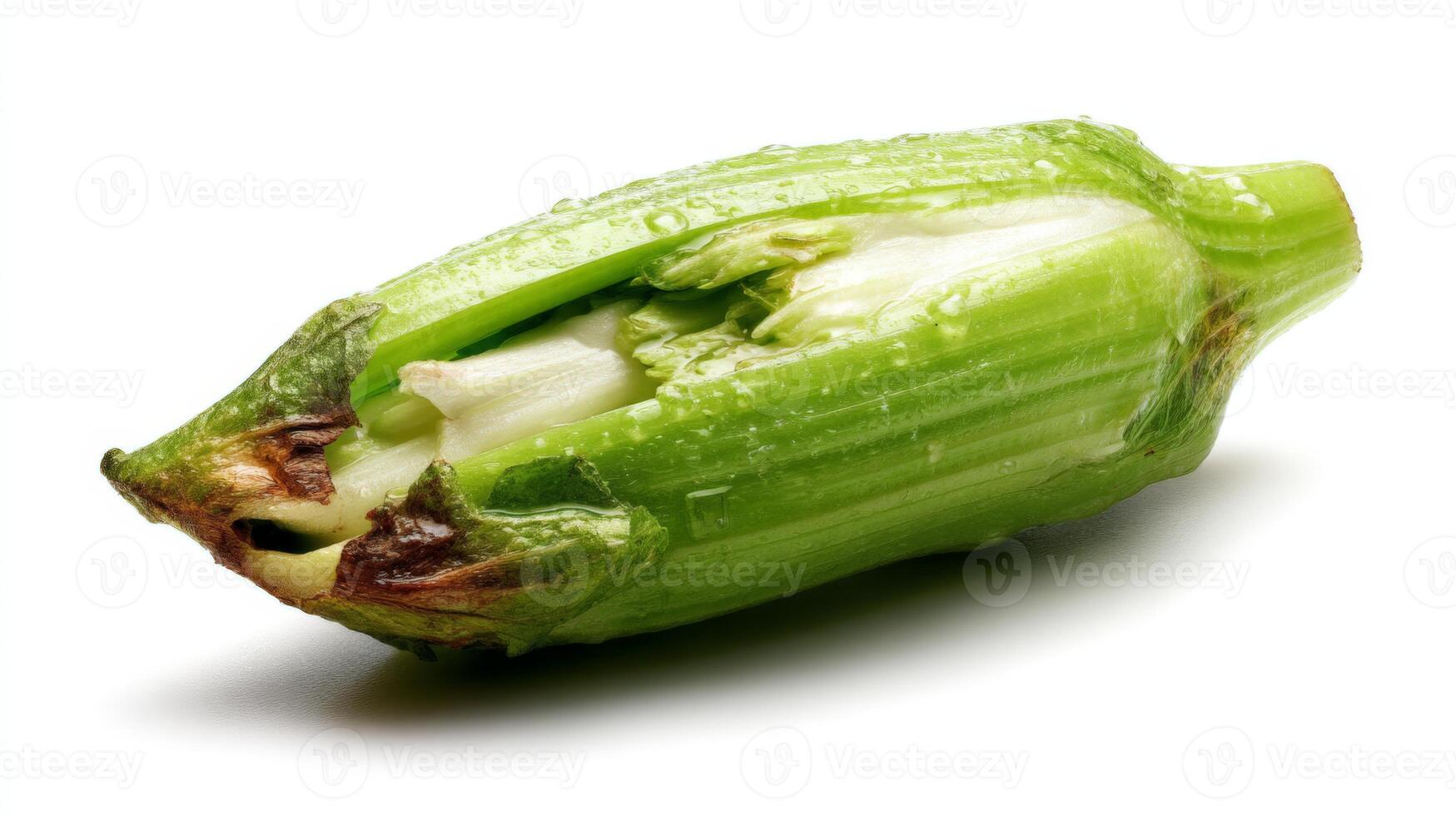 Close up of a Crunchy Green Celery Stalk Isolated on White Background photo