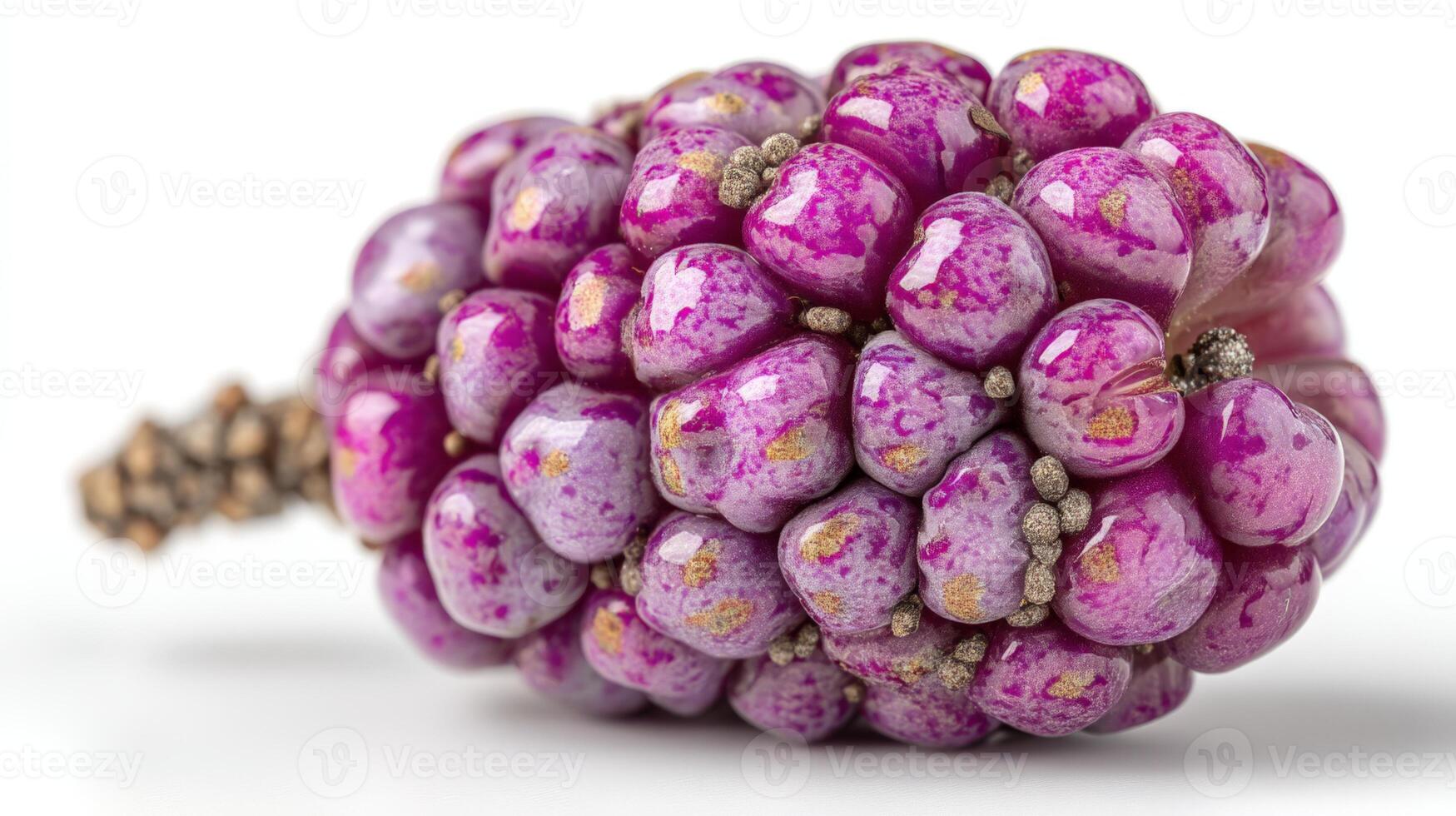Closeup of a Ripe Purple Blackberry Cluster on White Background photo
