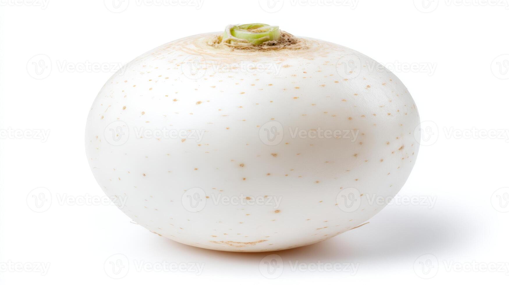 a Crisp White Turnip Isolated on White Background Studio Shot photo