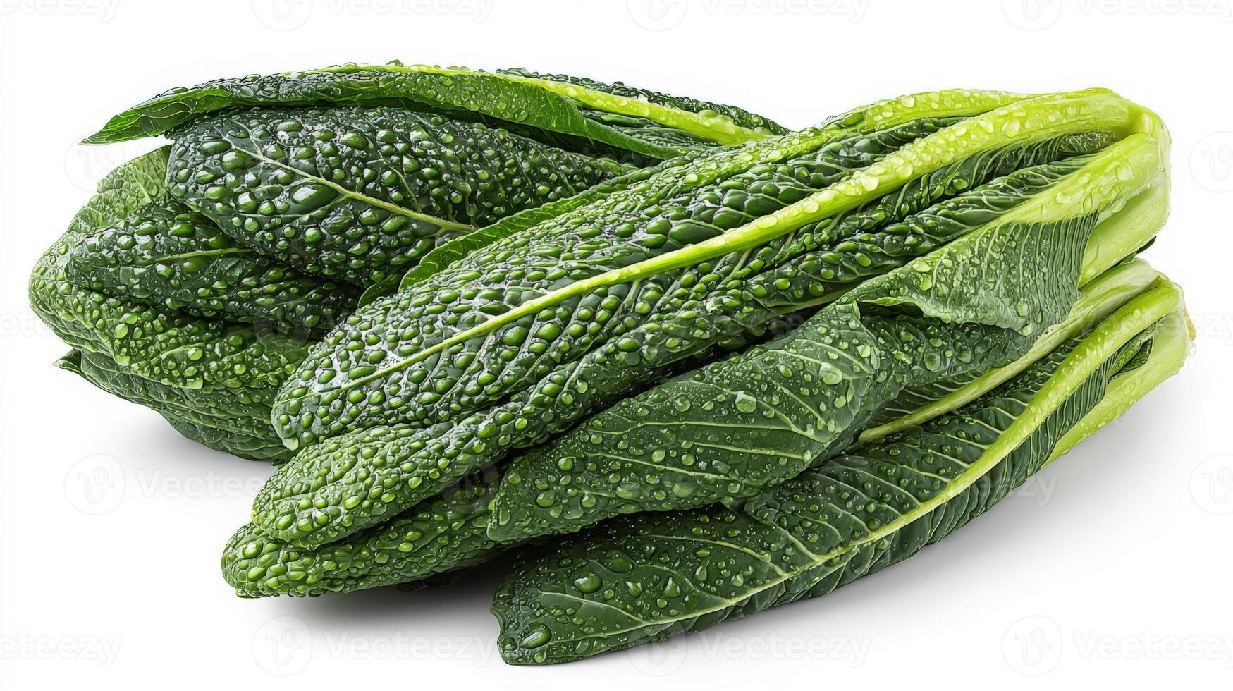 Fresh Green Mustard Greens Isolated on White Background photo