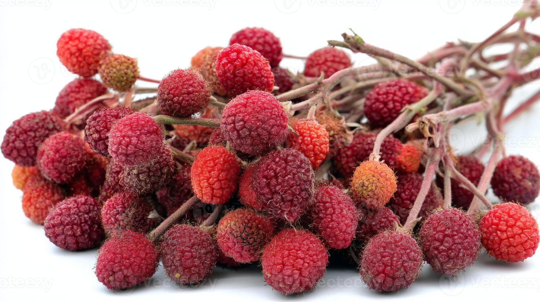 Ripe Red Boysenberries Cluster on White Background photo