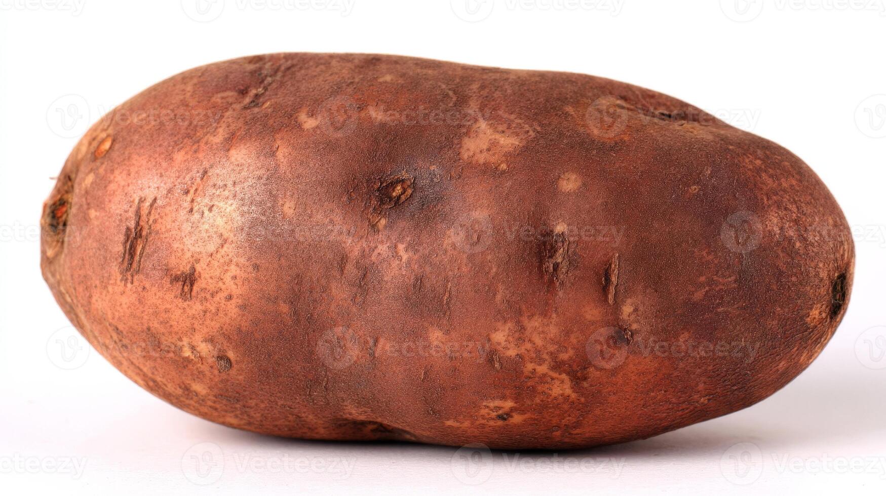 Single Brown Potato Isolated on White Background photo