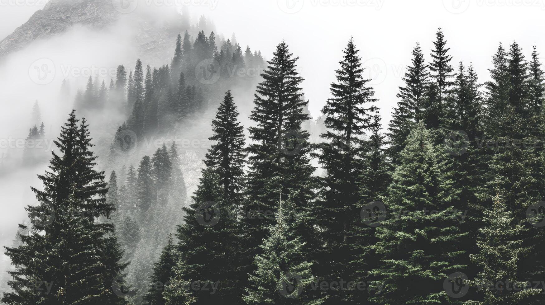 Misty Mountain Forest Landscape Soft Rain And Fog photo