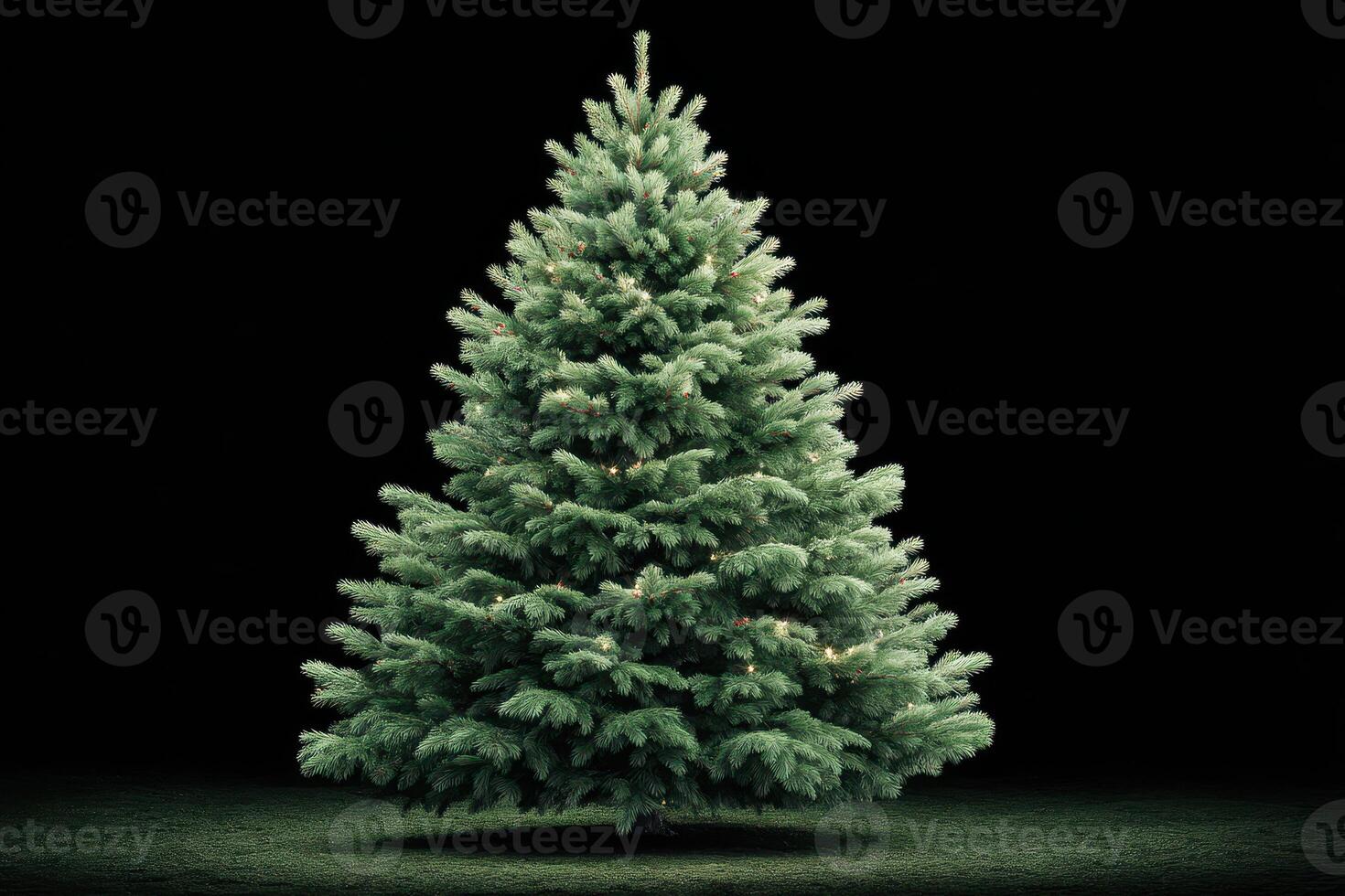 Evergreen tree with bright lights set against a dark background for holiday festivities and celebrations photo