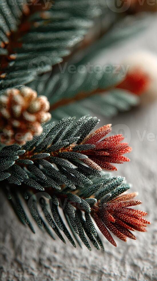 Detailed view of pine branches showcasing vibrant foliage and intricate textures in a natural setting photo