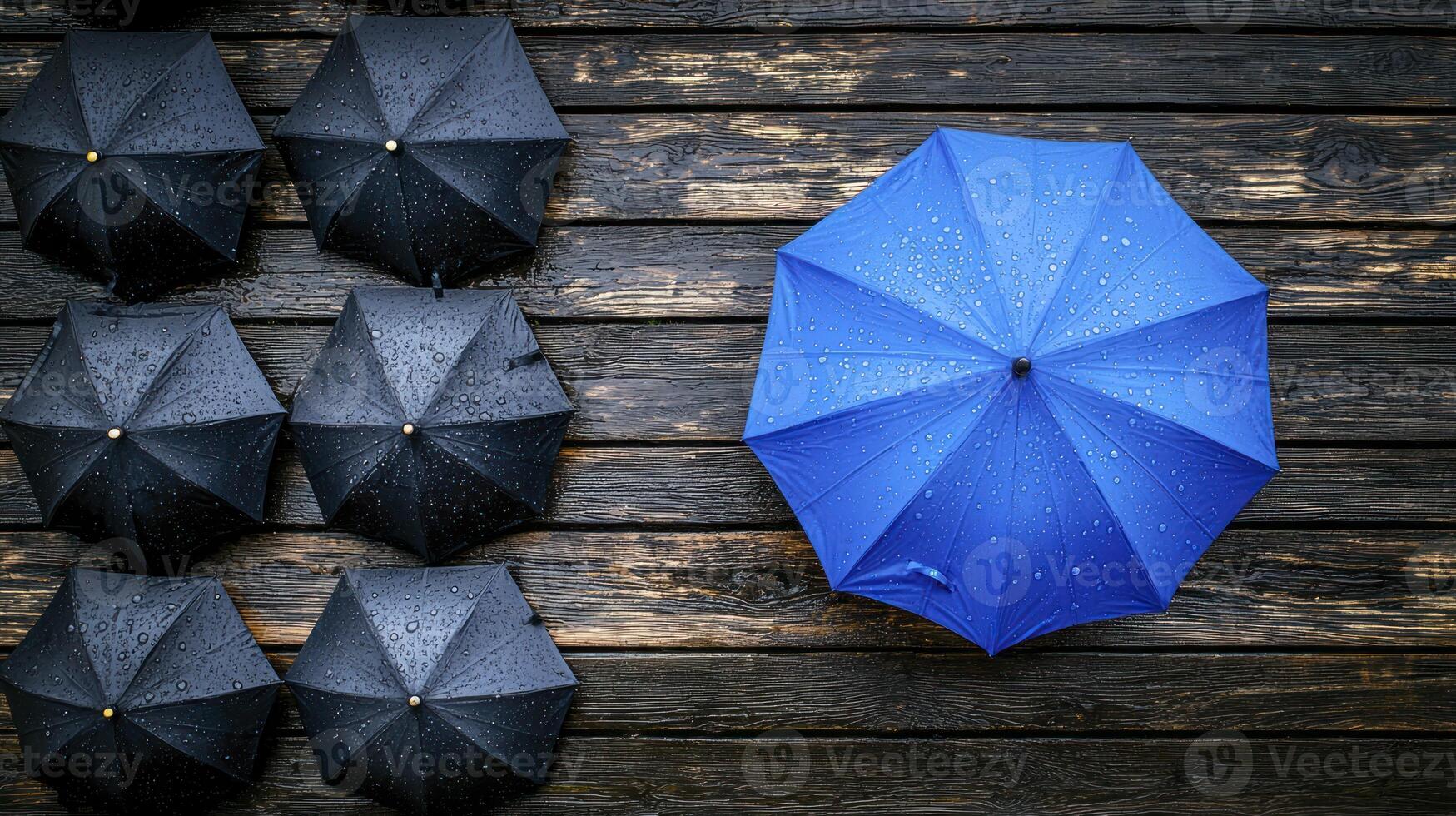 A blue umbrella is in the middle of a row of black umbrellas photo