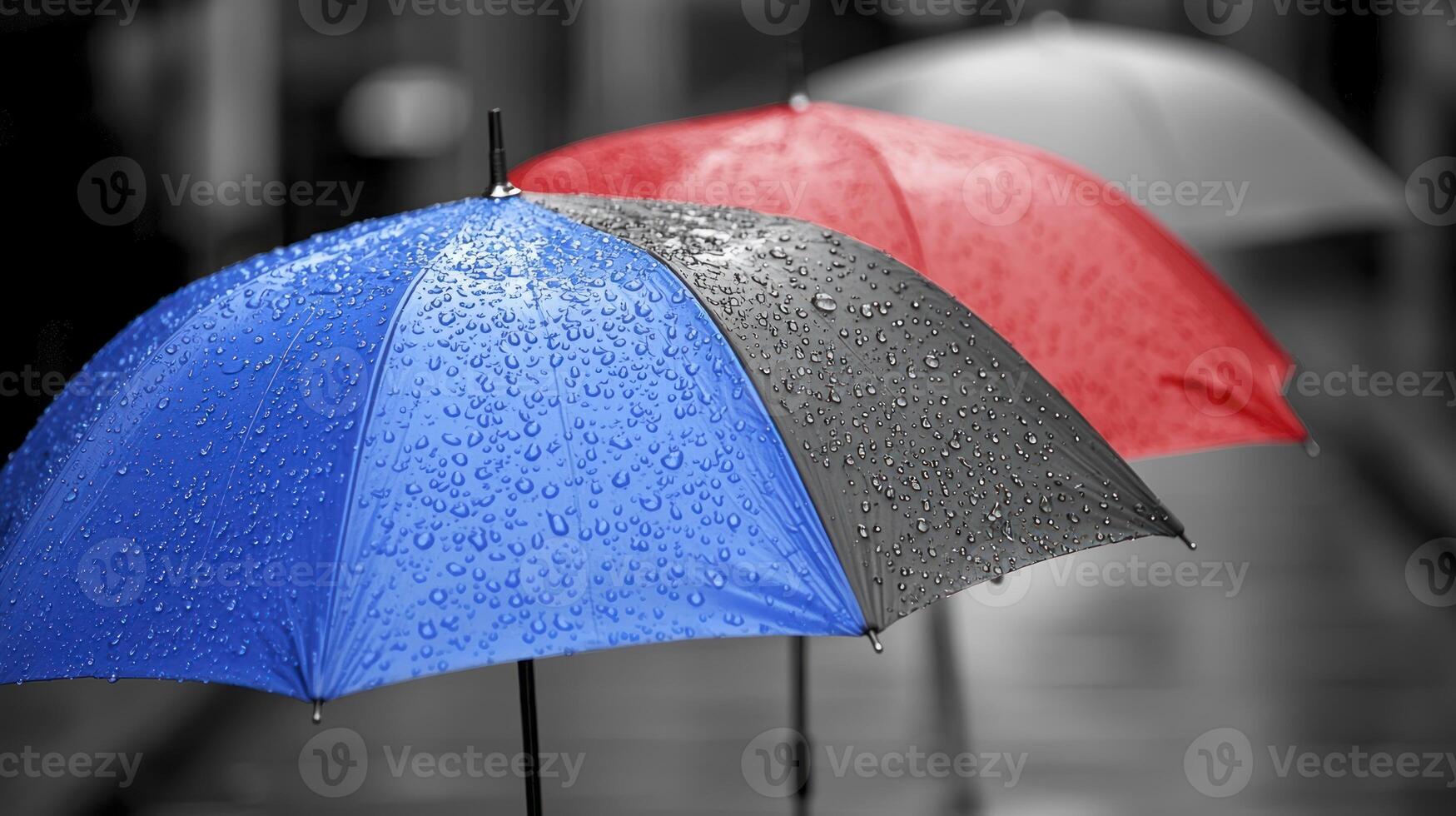 A red, blue, and black umbrella photo