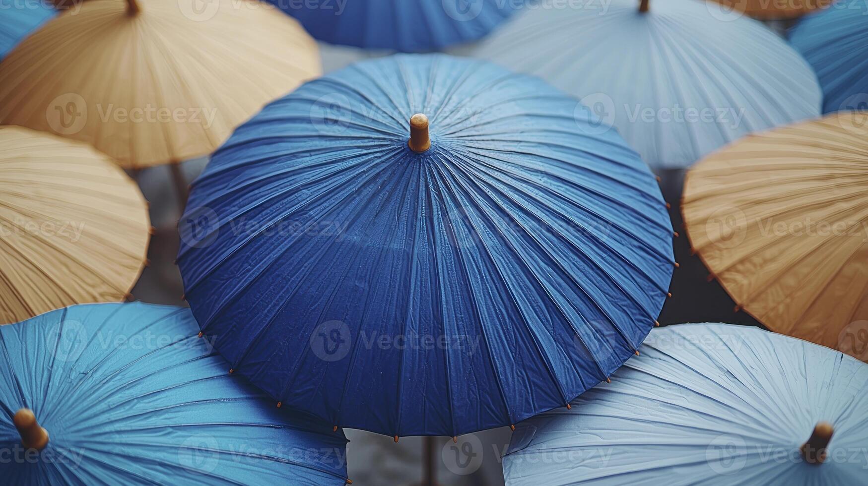 Many umbrellas are shown in this photo