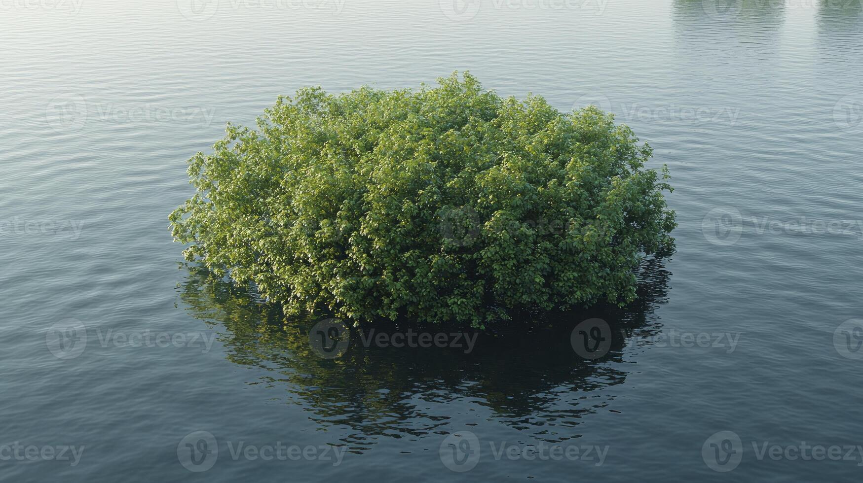 A small tree in the middle of a lake photo