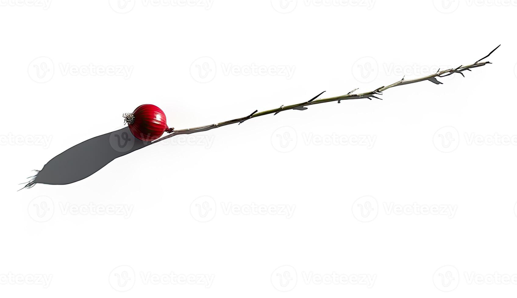 A rose on a stick with a shadow photo