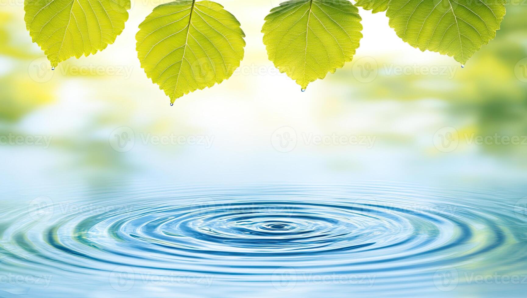 Fresh leaves over water ripples photo