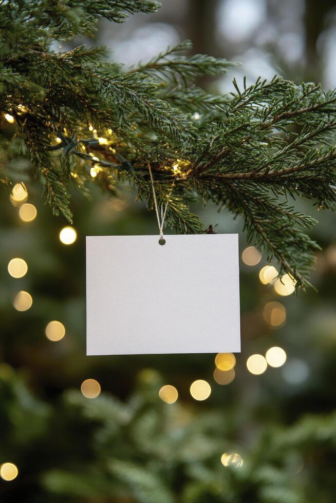 A blank card hanging from a christmas tree photo