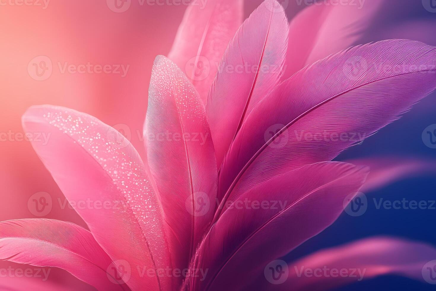 Pink Feather Texture with Dewdrops for Elegant Background Design photo