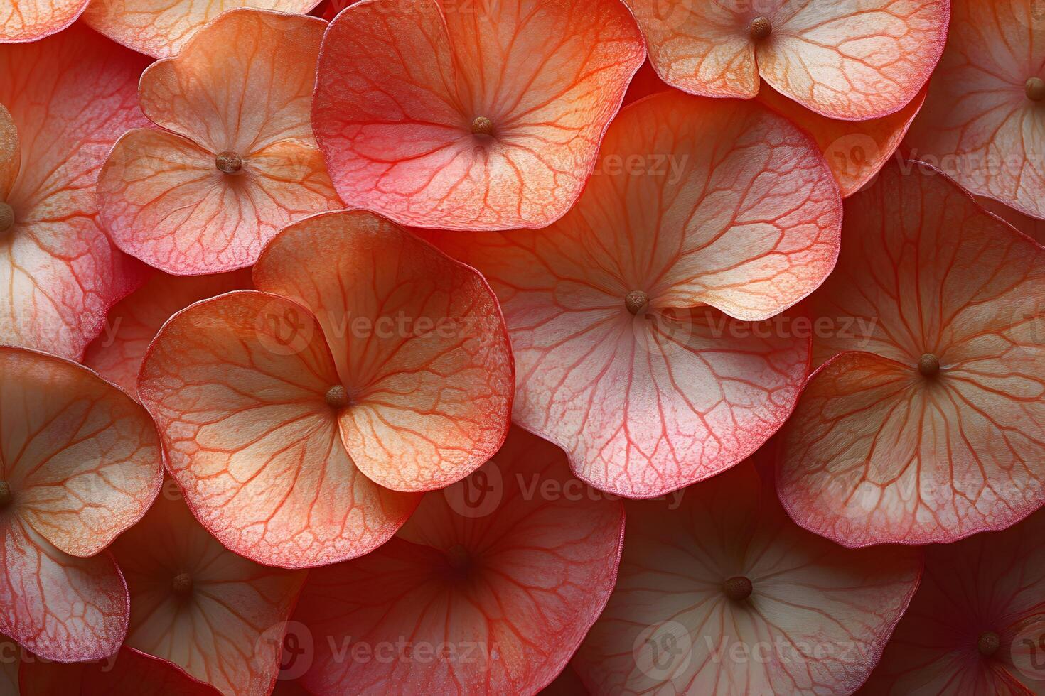 Vibrant Orange Hydrangea Blossoms for Floral Design and Decor Inspiration photo