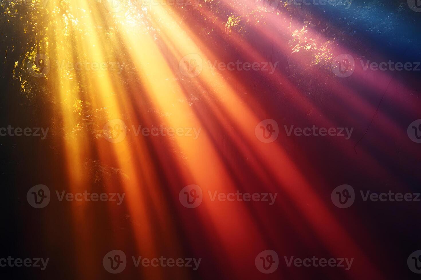 Vibrant Sun Rays Creating Colorful Patterns Through Foliage photo