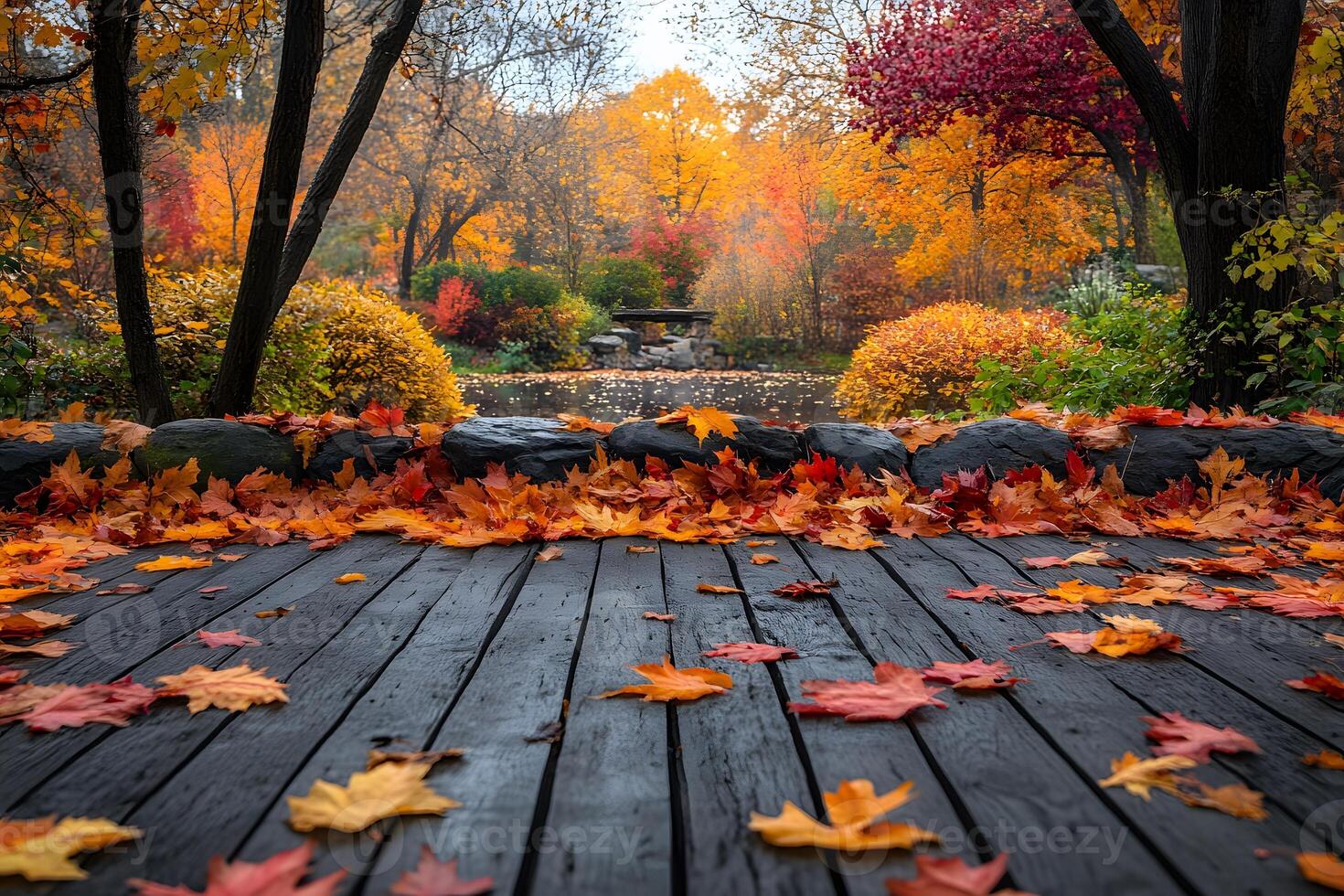 Tranquil Autumn Park with Colorful Foliage Perfect for Nature-Themed Designs photo